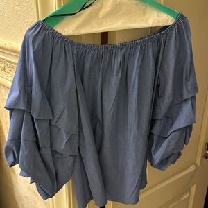 Zara off the shoulder with dramatic sleeves